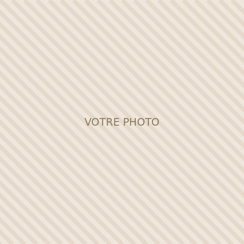 Exemple de site mannequin.